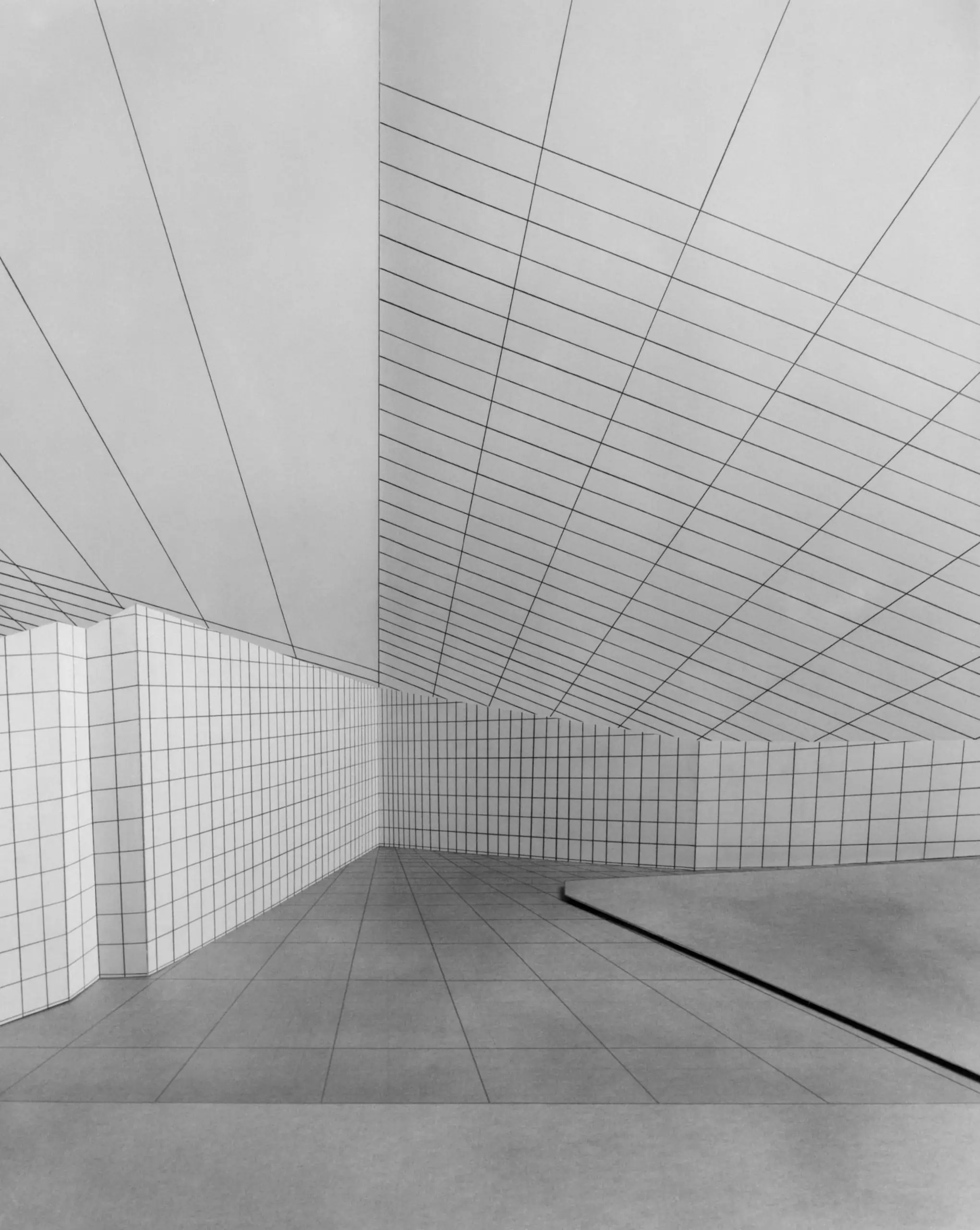 CHEAD Briefing - February 2016