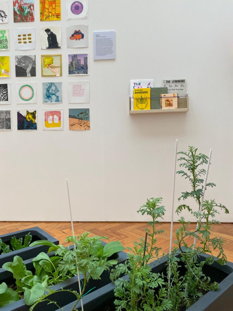 a collection of square artwork on a white wall and shelf with growing plants in the foreground