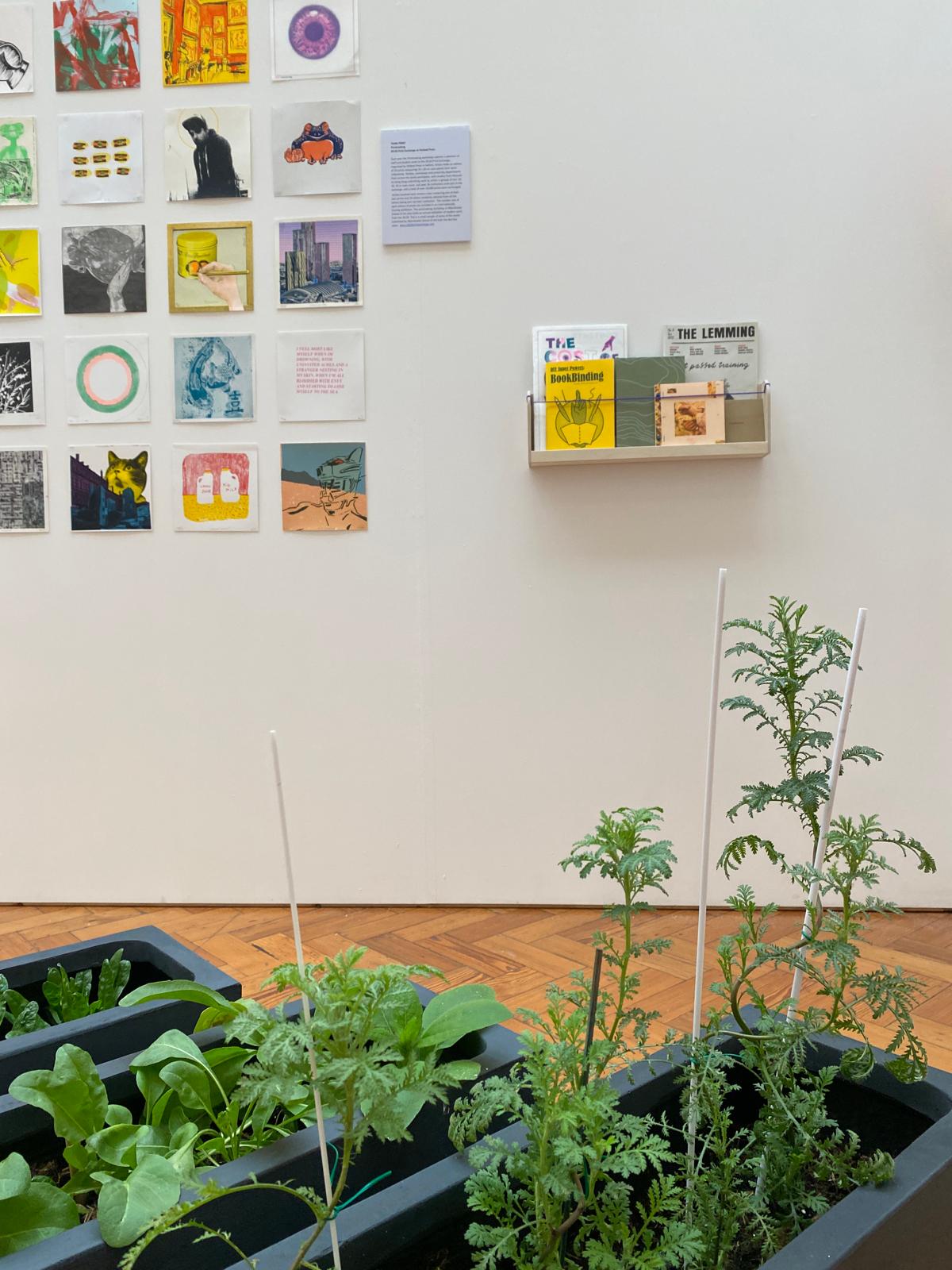 a collection of square artwork on a white wall and shelf with growing plants in the foreground